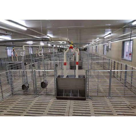 slatted floor for pigs|Home .